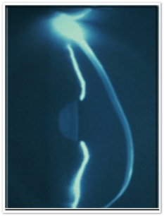 untitled_12